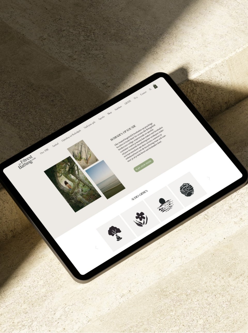 Homepage | Eline Cohen